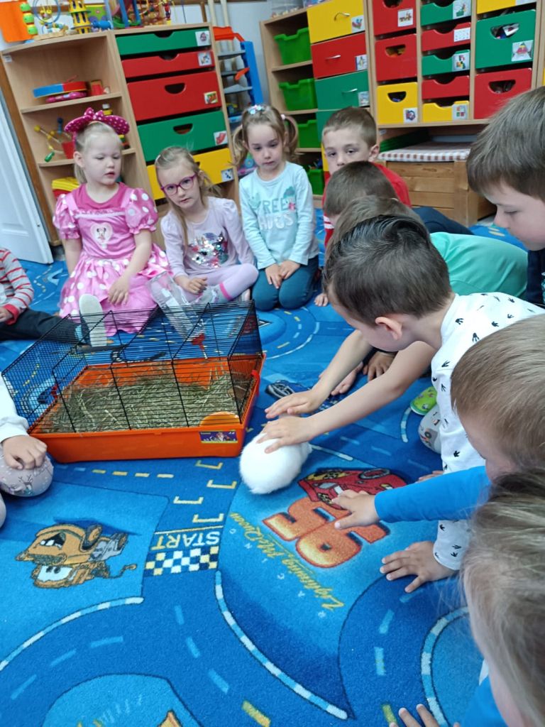 Králíček  (7)