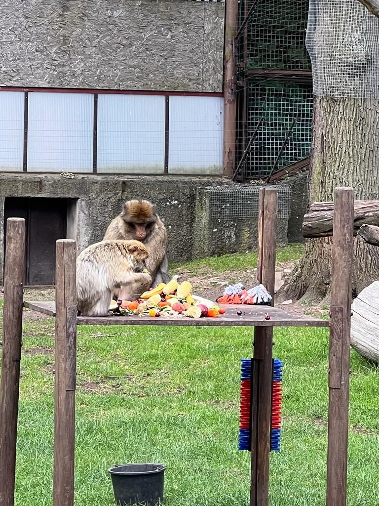 Zoopark Chomutov (35)