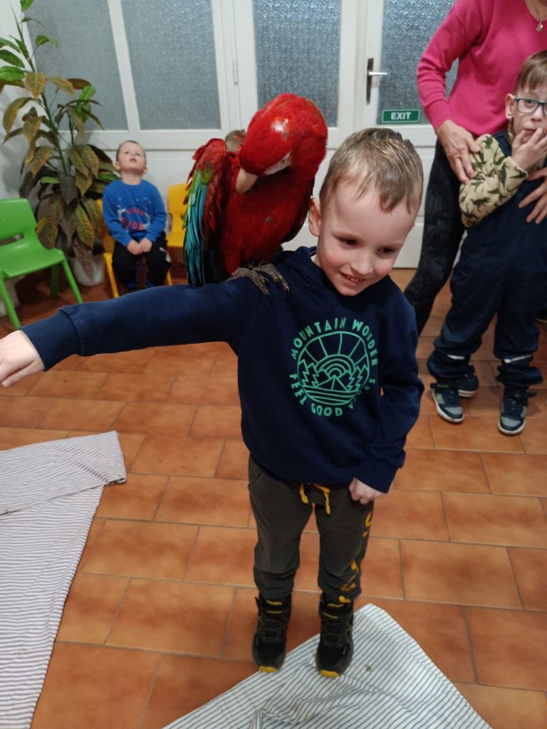 Ptáčci a zvířátka (10)