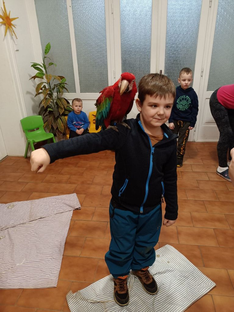 Ptáčci a zvířátka (11)