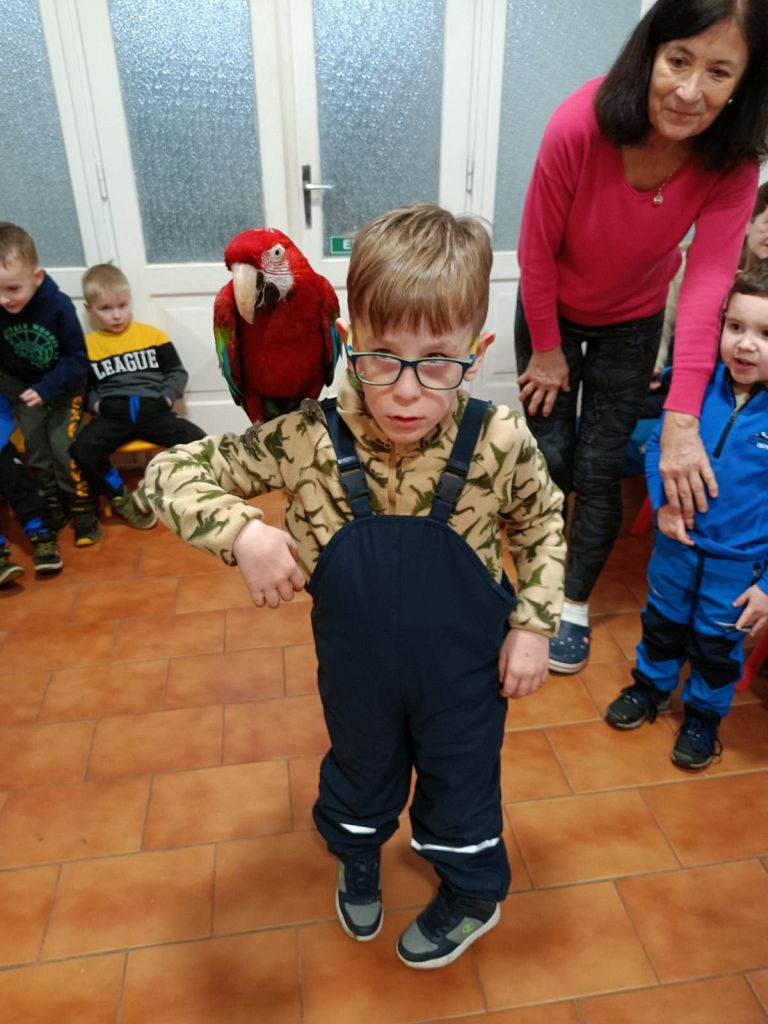 Ptáčci a zvířátka (12)