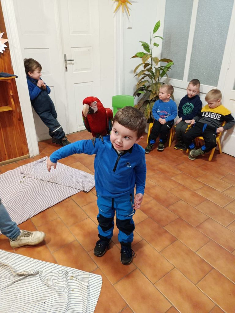 Ptáčci a zvířátka (13)