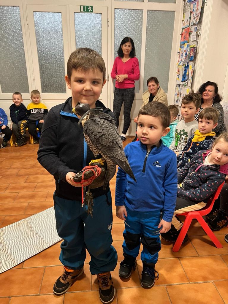 Ptáčci a zvířátka (52)